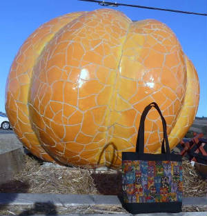 Holidays/160pumpkinHMBCatbag.jpg